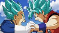 Goku vs. Vegeta (Toei Animation)